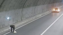 重庆：隧道内车辆爆胎，司机拿柚子当警示牌结果