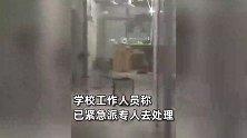 南昌再遇雷暴天气，一高校宿舍被强风吹破窗户，多名男生用身体堵门避风