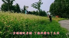 老牌歌手一首《舞女泪》痛彻心扉，分享给你