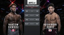 UFC240副赛：羽量级 哈基姆-达沃杜VS武藤堀江