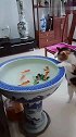 猫：我就想喝喝鱼汤，保证不吃鱼！