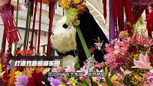 上海ifc商场 打造竹趣熊猫乐园