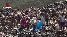印度垃圾场有一种鸟，比人还大，贫民宁可捡垃圾也不愿捉它来吃