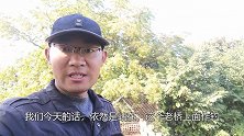 自己养了个窝子，每次来钓，收获都不错
