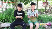 抄作业1：来福和石头半路拦截甜甜的作业，被甜甜锁在门外！
