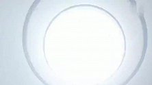 猪猪侠：每个人在不知不觉中，被摔得晕头转向，好尴尬！