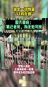 湖北一动物园“以狗充狼”，园方回应：狼已老死，狗无处可放