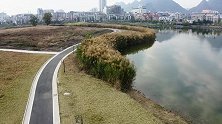 贺州这个公园也可以看芦苇了，而且还在市中心，美极了