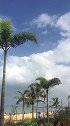 海口澄迈盈滨半岛景区
