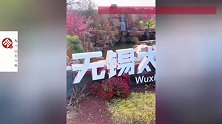 植物园悬赏1万寻越狱卡皮巴拉，回应：情况属实
