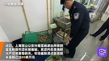 生鲜超市名贵水产屡遭窃，运货司机内外勾结盗窃被刑拘