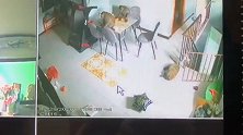 泰国：缺少游客喂食，3只猴子进入居民家偷吃食物