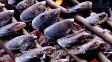 它在中国是“入侵生物”，中国人不爱吃，却被越南人吃到即将灭绝