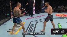 UFC262期全程（王琰博 王腾霄）