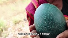 野外捡到一窝狗崽，男子带回家发现不对劲，听完医生的话汗毛直立