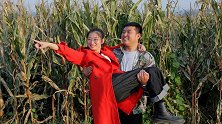 小伙相亲，凭一片苞米地抱得美人归，对话真是太搞笑了