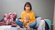 这小奶猫叫声有毒！猫听后兽性大发，当场秀恩爱？创作人计划 萌宠推荐官