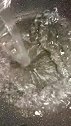 水晶葡萄果冻，冰冰凉凉酸酸甜甜，太好吃了。