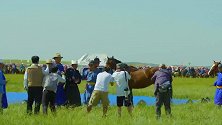 锡林浩特市游牧文化节：这就是原汁原味的草原！