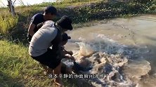 河面黑压压一片，小伙一网子下去，水面瞬间“沸腾”了！