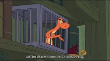 新猫和老鼠：汤姆和杰瑞想方设法偷取主人的魔法棒，真是有惊无险