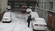 黑龙江双鸭山：扶起的是爱心！老人雪天摔倒 3名小学生上前搀扶