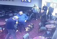 英国一头猪闯进工人俱乐部 工作人员用薯片将其引诱到外面