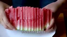日本方形西瓜为什么能卖这么贵？看完整个种植过程，你就知道了！