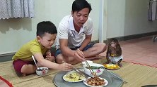 小猴子和家人一起享用美味的早餐，这小家伙太萌了！