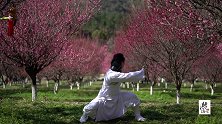 武当玄门养生功，开胸阔背功,练人体混元一气，中国古代养生功法