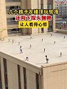 内蒙古：几个孩子在楼顶玩轮滑，还向下探头抛物，让人看得心惊