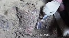 麦田里炸出夫妻合葬墓，专家挖掘5天后惊慌失色：快请故宫的专家