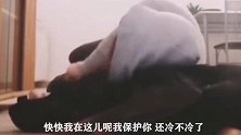 主人太冷了吗，本狗子来也，帮你暖暖，咋还这么抖呢