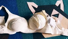 男子偷内衣被抓 大师说“窃胸罩”方可“解凶兆”