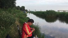 钓鱼人宝峰用玉米粒钓野河鲤鱼连杆不断不断，鱼口就是好！