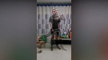 专业健身！北体大专家“保加利亚”箭步蹲 高难度练习get