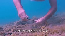 崖壁上长满了黑色头发，男子用棍子轻轻一碰，全部都在移动