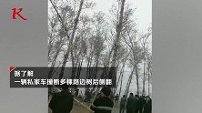 吉林松原一私家车撞断多树后侧翻致司机死亡 现场哭声凄惨