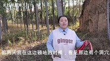女子在野外发现神秘洞穴，拿来鞭炮开始炸洞，最后她炸出了什么？