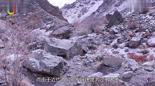 “灭绝”80年的动物，忽然再次出现，科学家激动不已