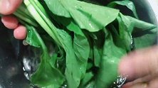 菜心不要直接下锅炒，多加这一步，厨房新手也能炒得鲜嫩翠绿