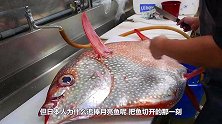 日本人为什么追捧月亮鱼, 把鱼切开那一刻, 唯美食不可辜负!