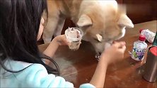 狗狗搭着个脑袋看主人吃冰激淋，主人被看的都不好意思了