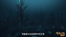魔魂大白鲨海洋中的霸主，千万不能得罪