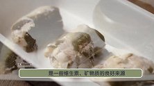 春天是孩子补钙关键期，遇到这种鱼别错过，孩子长个身体好