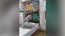 这宝宝也太懂事了吧！都学会自己洗衣服了哦