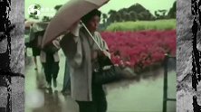 1969年日本的珍贵录像，日本真的都是种樱花吗？其实不然