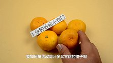 买橘子要挑母的，教你窍门，皮薄汁多甘甜又好吃，摊主都竖大拇指