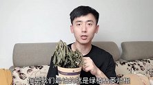 花盆里撒一把，不管多难养的花，几天根壮叶绿爆满盆，方法真棒
