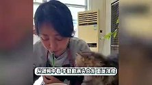 59岁李勤勤啃馒头吃生菜，大口吞咽被噎到，三婚三离晚年生活凄凉